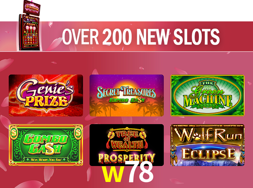 A Emoção da Loteria na w78: Uma Chance de Mudança de Vida